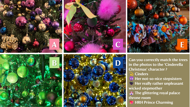 A series of 5 close-up images of Christmas trees